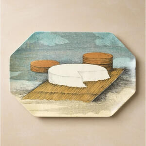 John Derian Target Thanksgiving Fall Melamine Hexagon Cheese Serving Platter